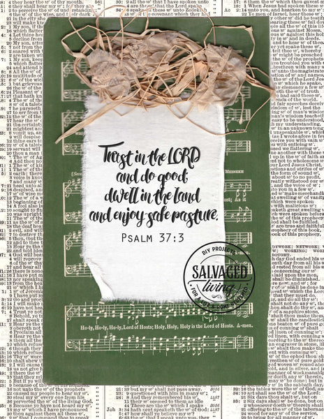 Limited Time: Psalm 37:3 Digital Download