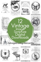 FULL COLLECTION of 12 Vintage Scriptures  for Digital Download