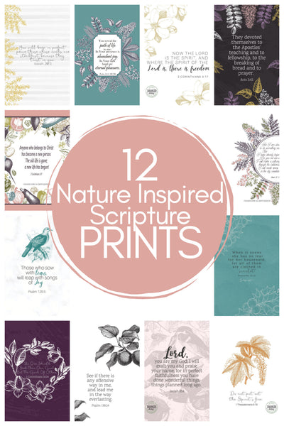 12 Piece Nature-Inspired Scripture Art Physical Print Set