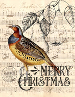 Partridge in a Pear Tree Physical Print